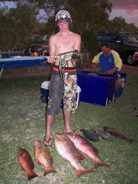 spearing/diving pilbara