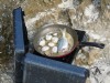 LITTLE SNACK ON THE BEACH