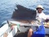 Deepwater's Sailfish