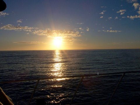 heading out to the abrolhos