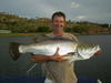 Bob's Barramundi