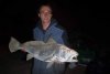 Little Mulloway