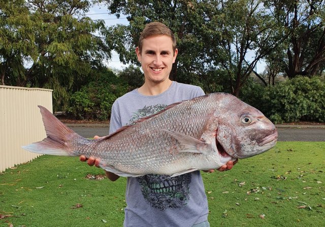 North mole pink snapper