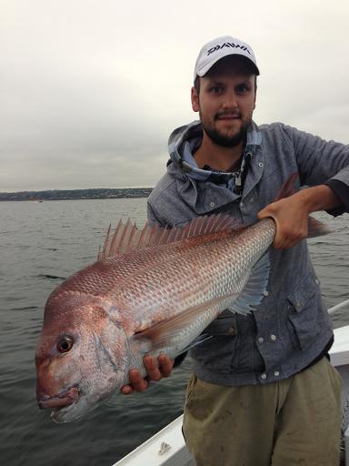 PB Snapper (VIC)