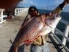 Pink Snapper