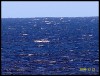 30knot southerlies blowing in Leeman