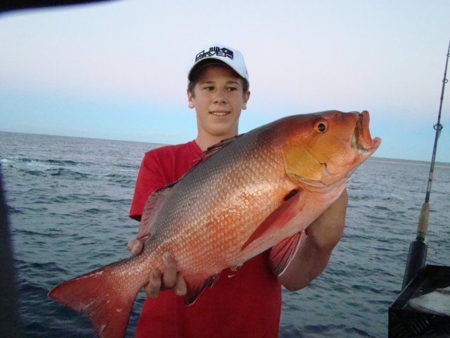 red bass