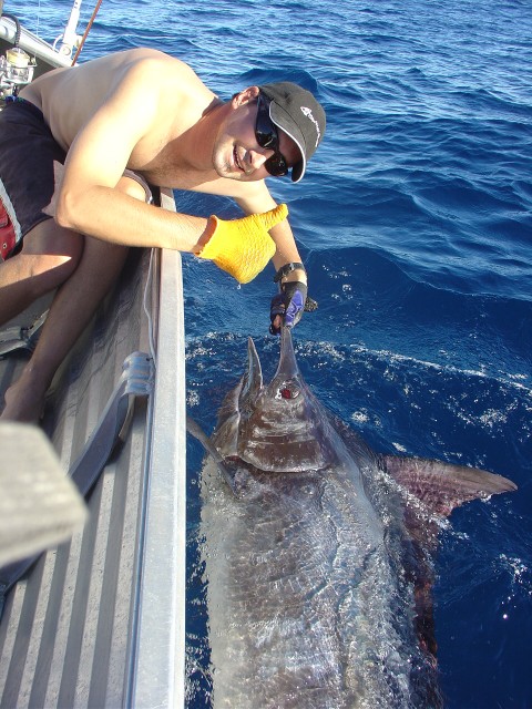 100+ kg Marlin from the Tinny