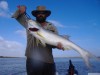 Mick's Threadfin