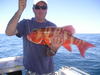 Nice Chinaman caught somehwere behind depuch island