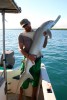 Hammerhead hug