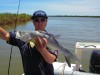 Small Giant threadfin