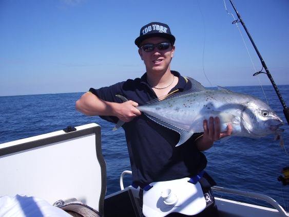 Gold Spotted Trevally