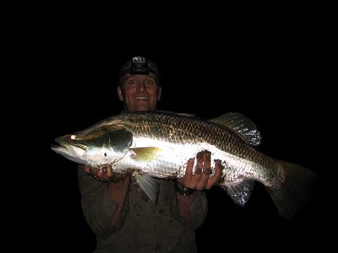 another barra, 835mm tagged and released