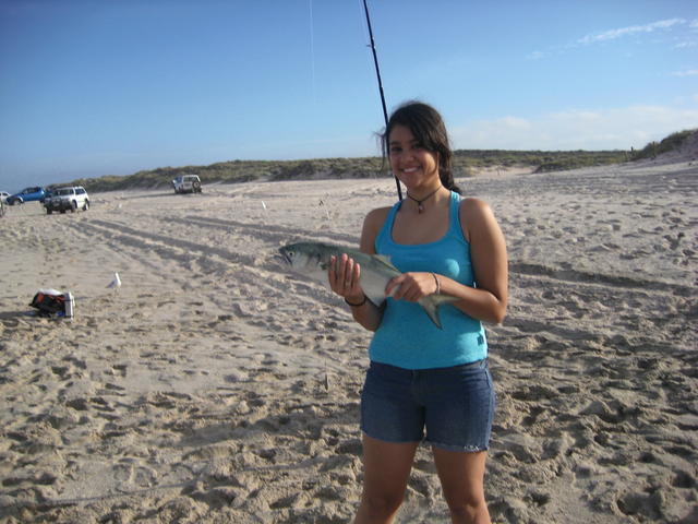 Rebecca's Kalbarri Greenback