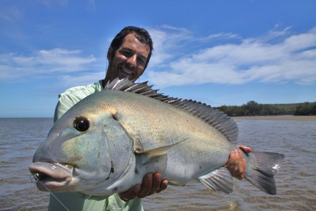 Mark's BB on Fly