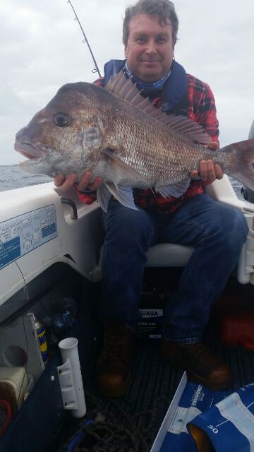 A nice Albany Snapper 