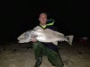 School mulloway