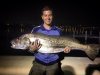 Swan Mulloway