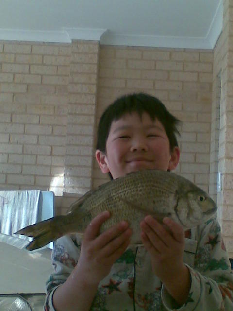 bream