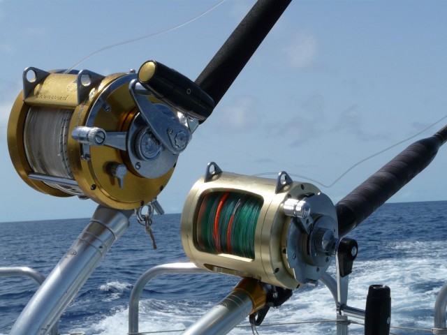 The Mahi Mahi II gear