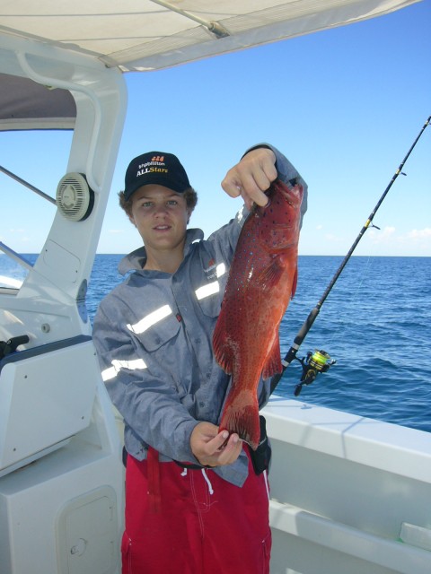 coral trout