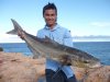 VP86WA's Cobia