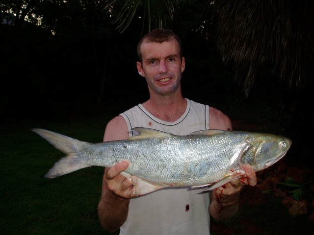 Port Hedland Thready