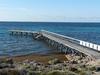 Commodore Marine Abrolhos Trip #5