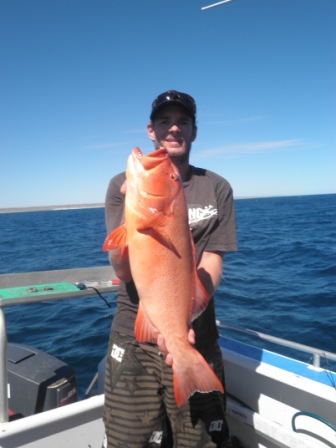 PB Coral Trout