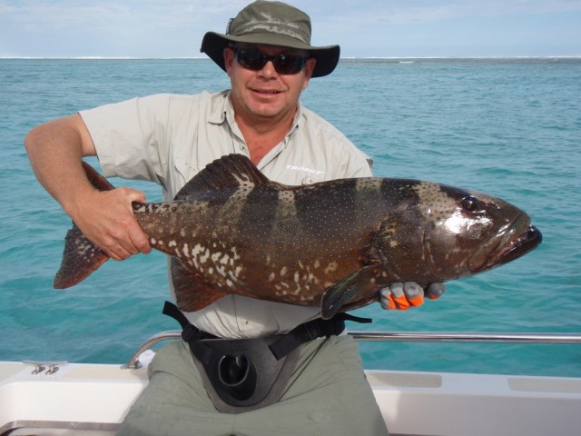 Coral Trout