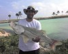 Huge Snook