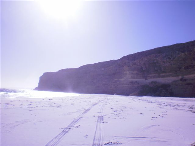 cocklebiddy cliffs 2010