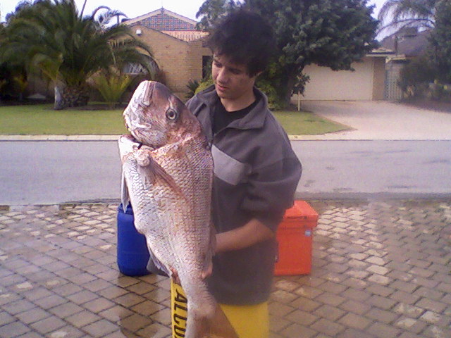 Yesterdays catch