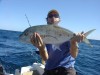 A small Goldspot Trevally