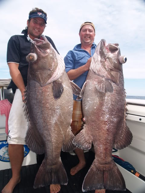 POTM Dec 09 - Michael's Bass Grouper