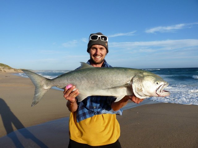 95cm WA South Coast Tailor