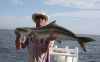 Mitch's Cobia