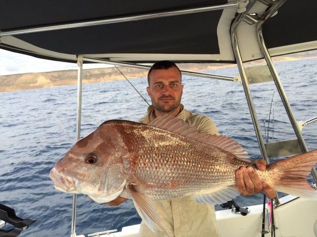 Kalbarri Pink