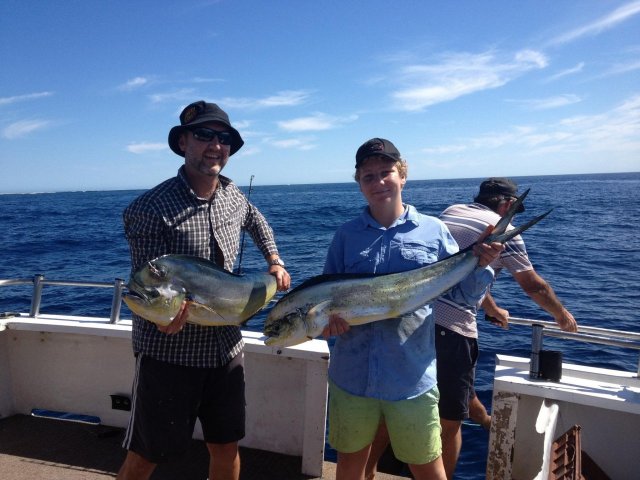 Abrolhos Mahi Mahi