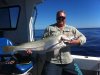 Pedrothefisherman's Mulloway