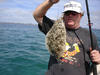 karl's flounder