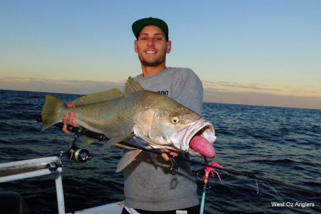 Mulloway on Jig