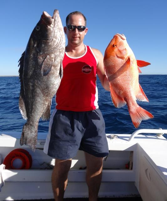 10kg Rankin - Coral Bay