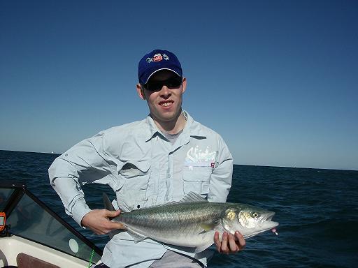 Salmon on Snapback