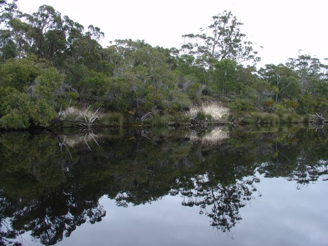 Walpole Black Bream Scenery 2