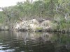 Walpole Black Bream Scenery 4