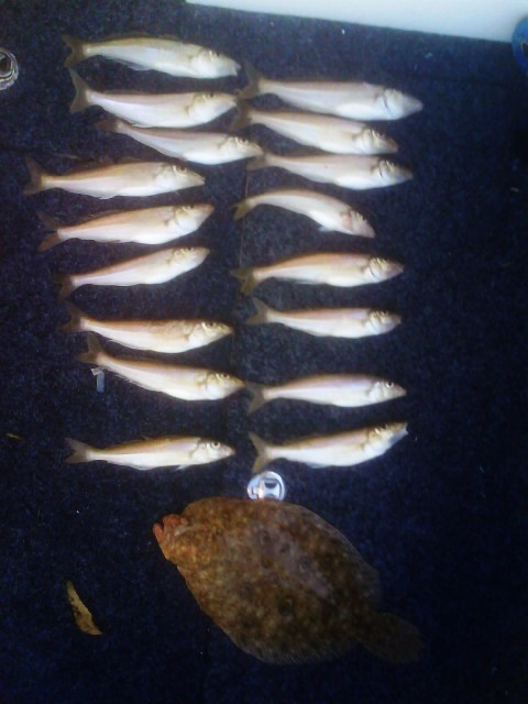 Saturday's whiting